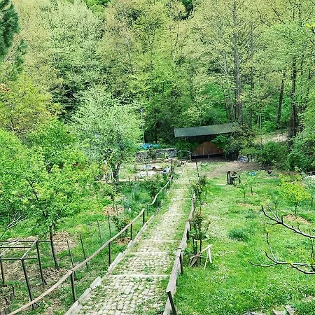 Sakli Cennet Esadiye