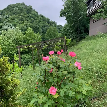 Sakli Cennet Esadiye